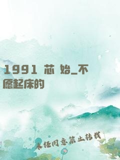 1991從芯開始
