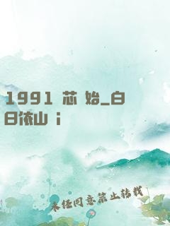 1991從芯開始