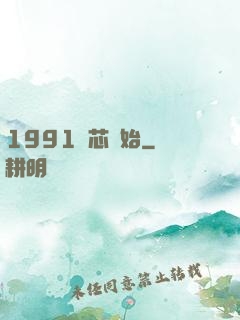 1991從芯開始