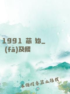 1991從芯開始