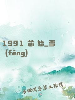 1991從芯開始