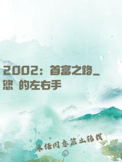 2002：首富之路