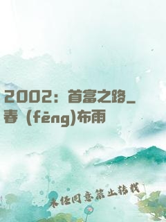 2002：首富之路