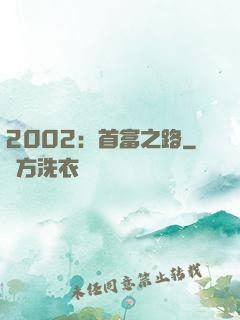 2002：首富之路