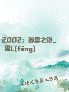 2002：首富之路