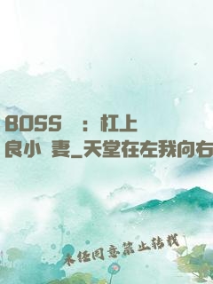 BOSS來襲：杠上無良小嬌妻
