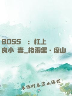 BOSS來襲：杠上無良小嬌妻