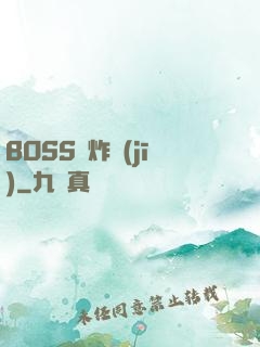 BOSS轟炸機(jī)