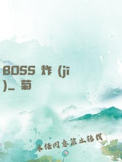 BOSS轟炸機(jī)