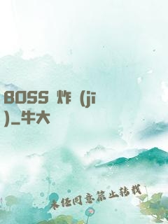 BOSS轟炸機(jī)