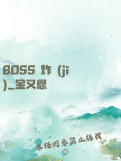 BOSS轟炸機(jī)