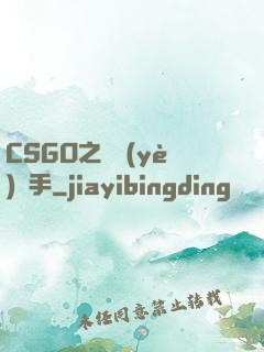 CSGO之職業(yè)選手