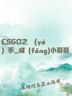 CSGO之職業(yè)選手
