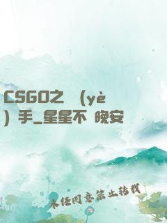 CSGO之職業(yè)選手