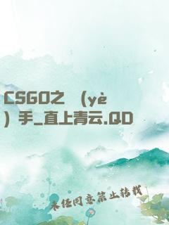 CSGO之職業(yè)選手
