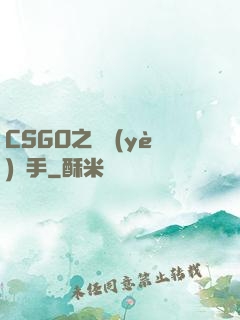 CSGO之職業(yè)選手