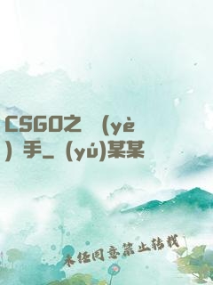 CSGO之職業(yè)選手