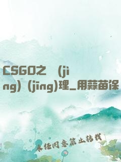 CSGO之電競(jìng)經(jīng)理