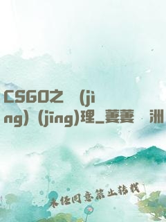 CSGO之電競(jìng)經(jīng)理