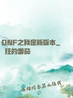 DNF之我是新版本
