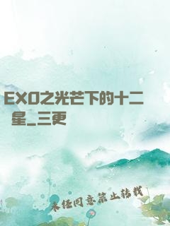 EXO之光芒下的十二顆星