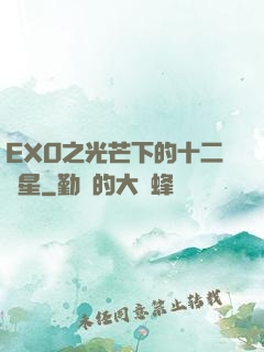 EXO之光芒下的十二顆星