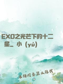 EXO之光芒下的十二顆星