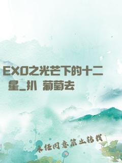 EXO之光芒下的十二顆星