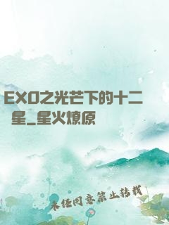 EXO之光芒下的十二顆星