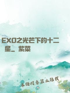 EXO之光芒下的十二顆星