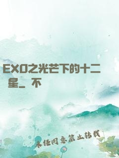EXO之光芒下的十二顆星