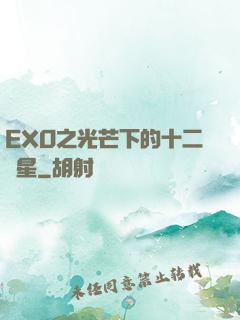 EXO之光芒下的十二顆星