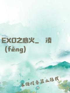 EXO之心火