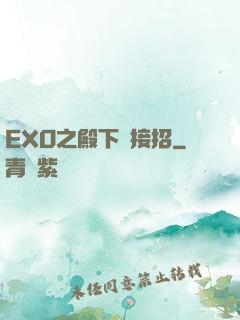 EXO之殿下請接招