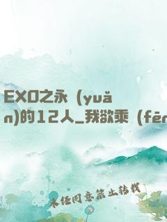 EXO之永遠(yuǎn)的12人