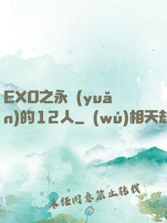 EXO之永遠(yuǎn)的12人