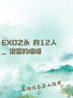 EXO之永遠的12人