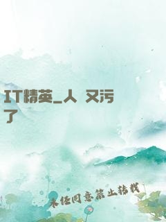 IT精英