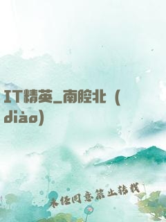 IT精英