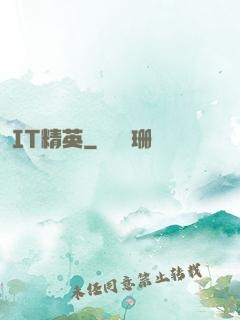 IT精英