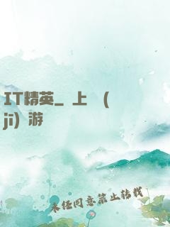 IT精英