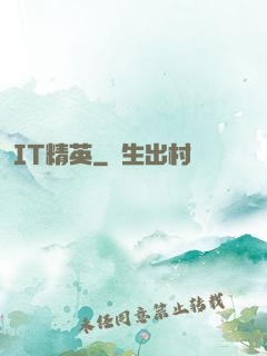 IT精英