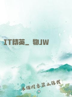 IT精英