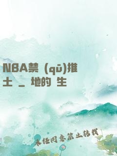 NBA禁區(qū)推土機