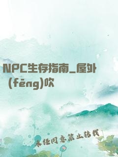 NPC生存指南