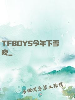 TFBOYS今年下雪晚