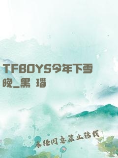 TFBOYS今年下雪晚