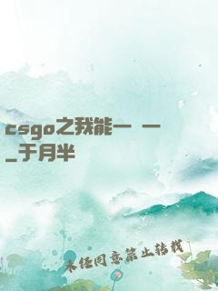 csgo之我能一換一