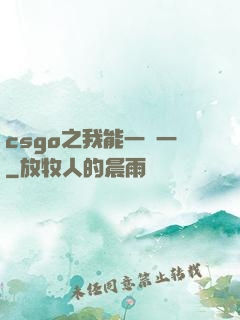 csgo之我能一換一