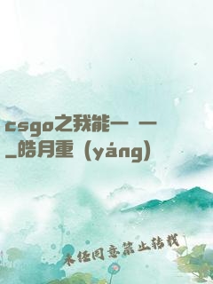 csgo之我能一換一